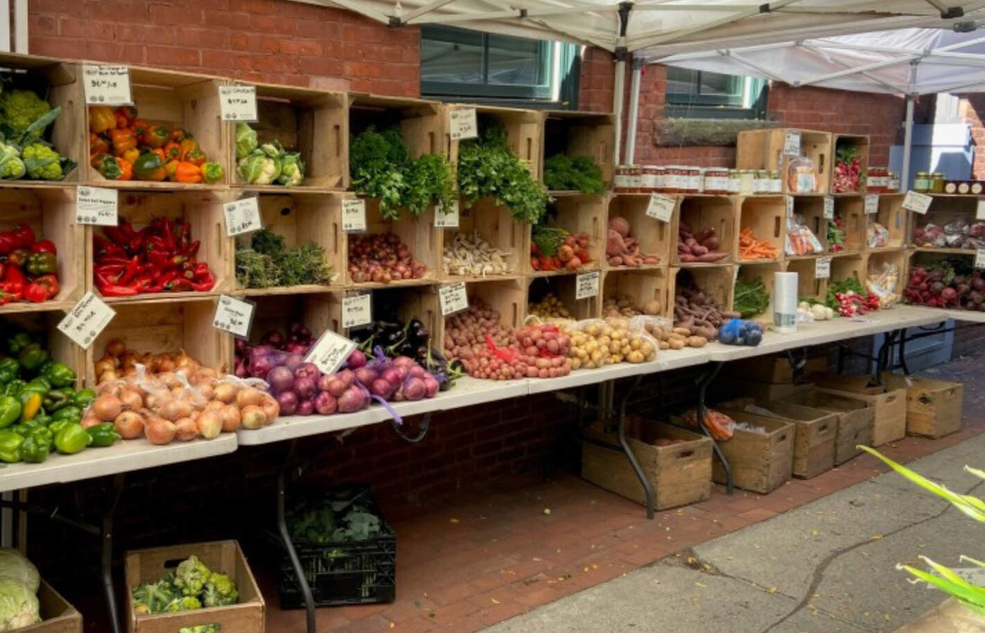 Organizers of the Northampton Tuesday Market say a third of purchases are made with SNAP benefits. (Karen Brown/NEPM)