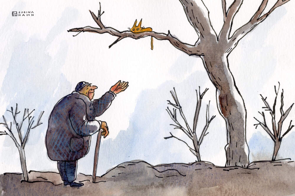 A man below a cat in a tree. (Sabina Hahn for WBUR)