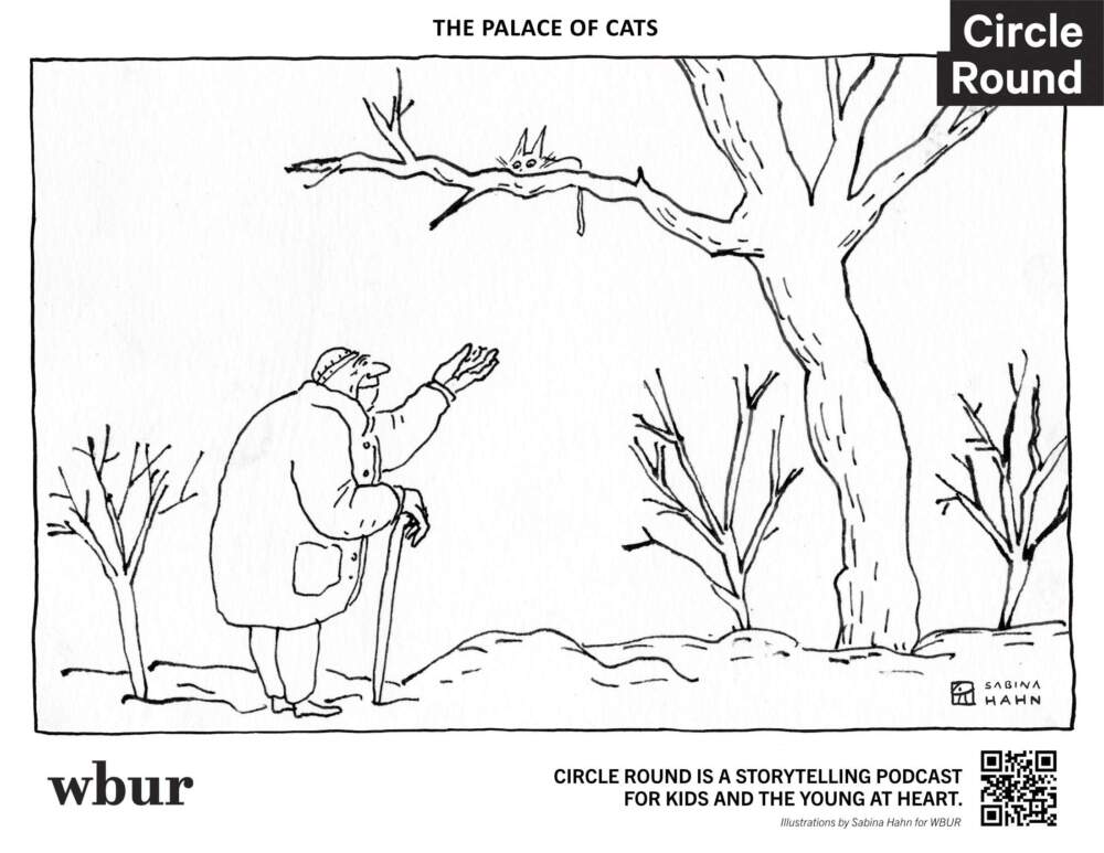 A man below a cat in a tree. (Sabina Hahn for WBUR)