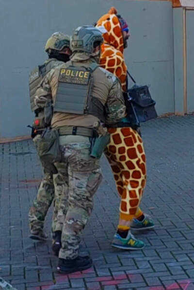 Robby Roadsteamer is taken by federal agents inside an ICE facility in Portland, Oregon after protesting outside. (Courtesy Sophie Carew and Rob Potillo)