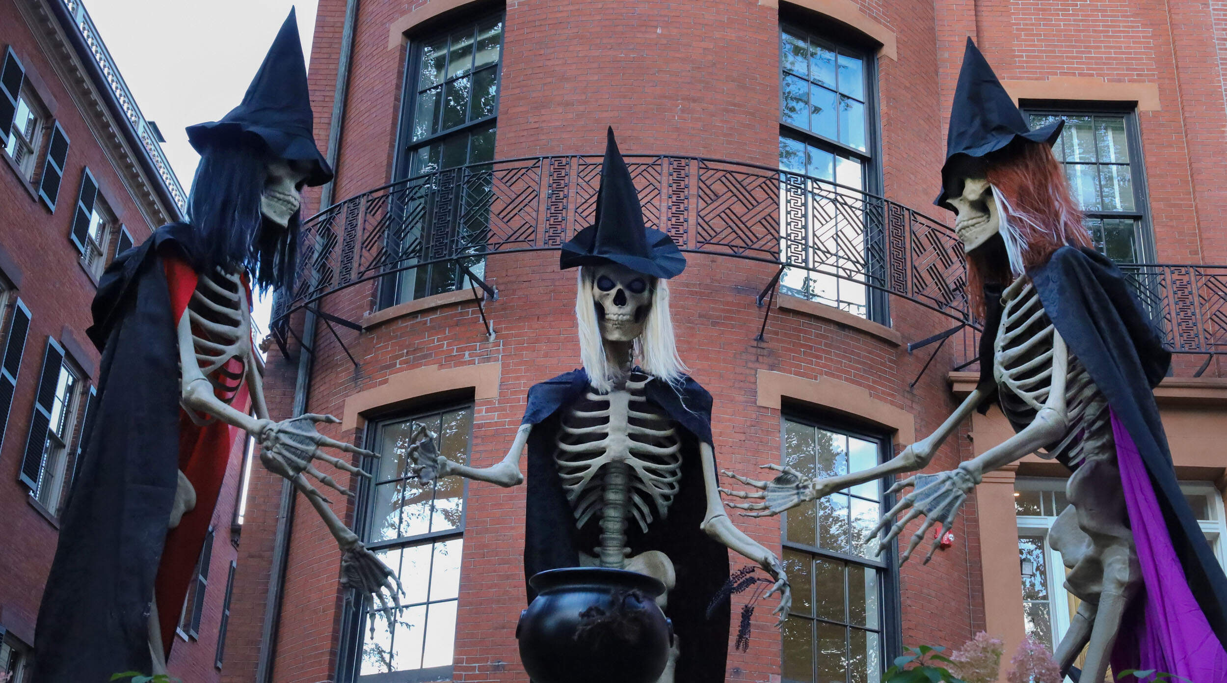 Three large skeletons dressed as witches surround a cauldron in front of a house on Mt. Vernon Street in Beacon Hill. (Angelica Vivas for WBUR)