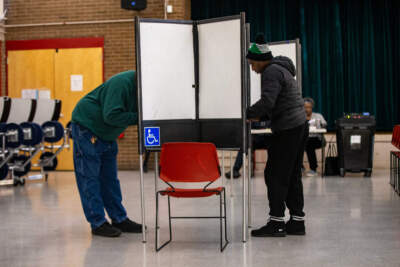 Voters in Boston and 50 communities across Mass. take to polls to decide local elections