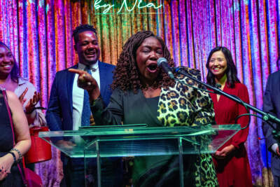 No big shake up, as incumbents sweep Boston City Council at-large race