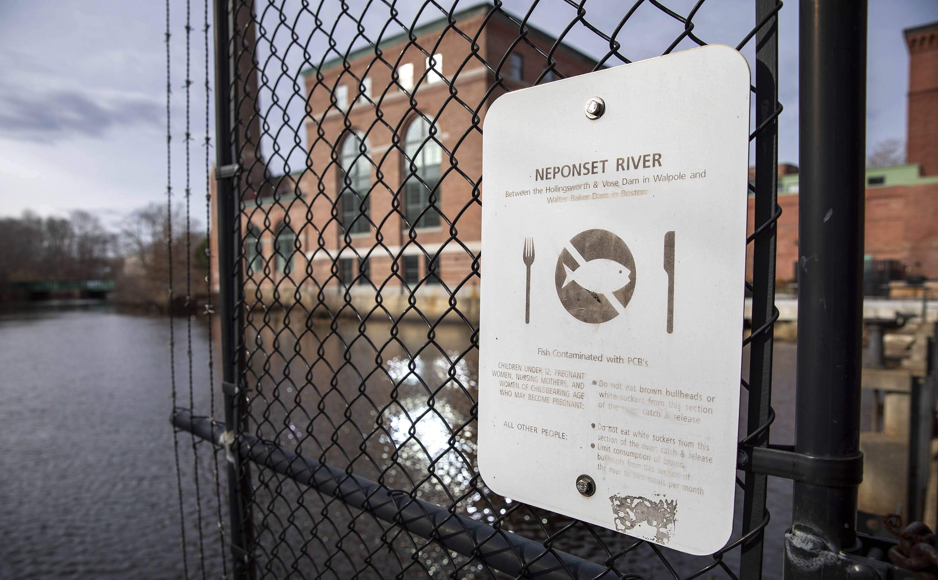 A sign on the Neponset River near Adams Street in Milton in 2021 warns of the danger of PCBs in fish caught on the river. (Robin Lubbock/WBUR)