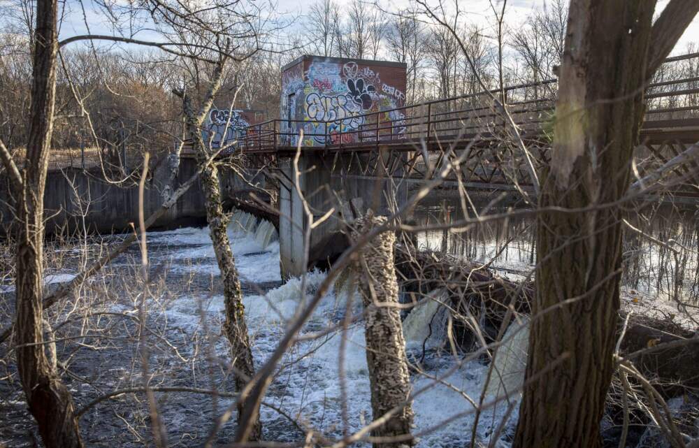 The Tileston and Hollingsworth Dam by River Street in Hyde Park in 2021. (Robin Lubbock/WBUR)