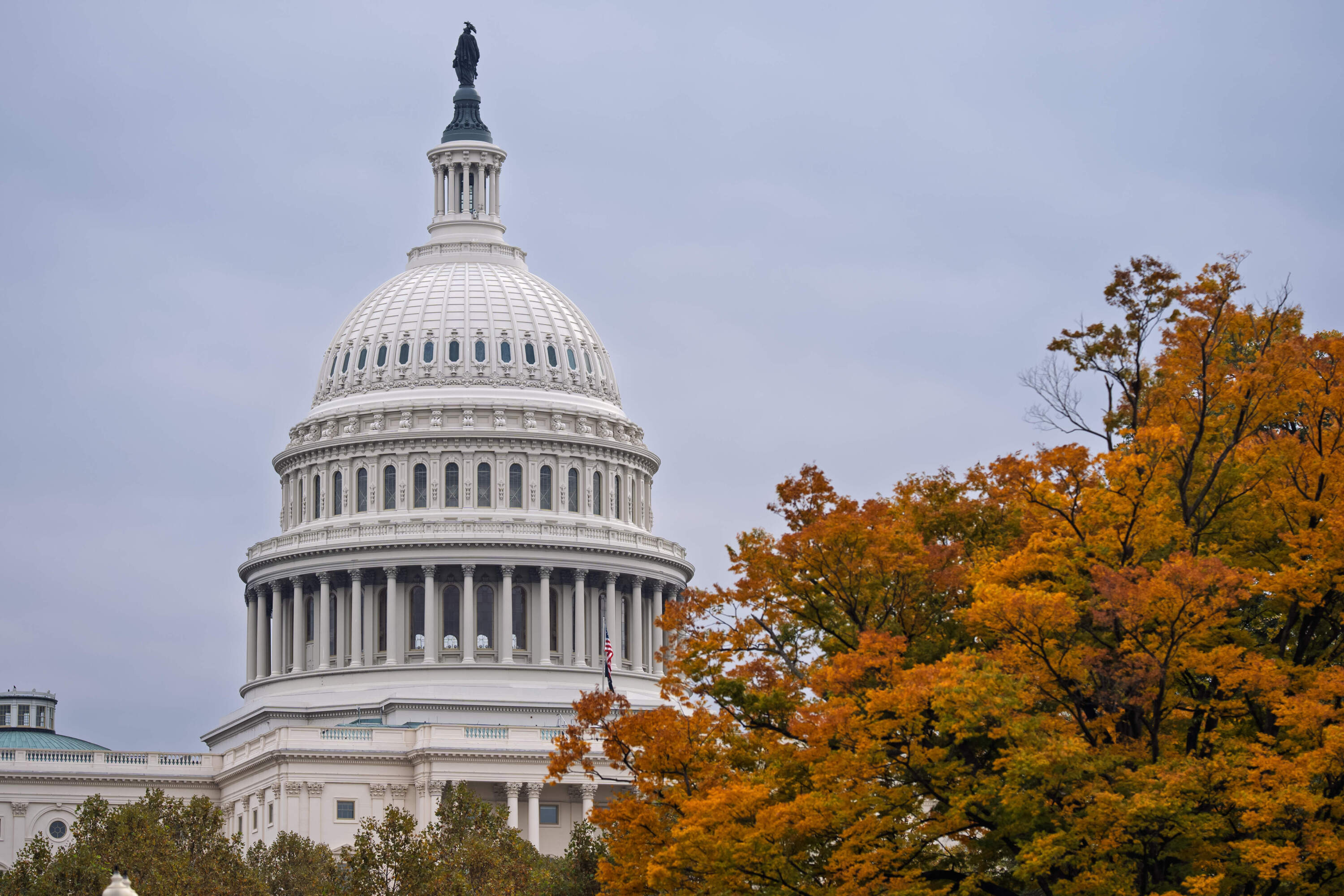 The Capitol is seen on day 34 of the government shutdown, in Washington on Nov. 3. (J. Scott Applewhite/AP)