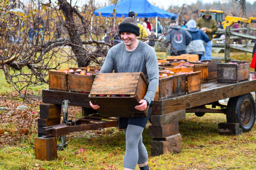A participant in last year's "Iron Farmer" competition carries a crate of apples at Red Apple Farm. (Courtesy Red Apple Farm)