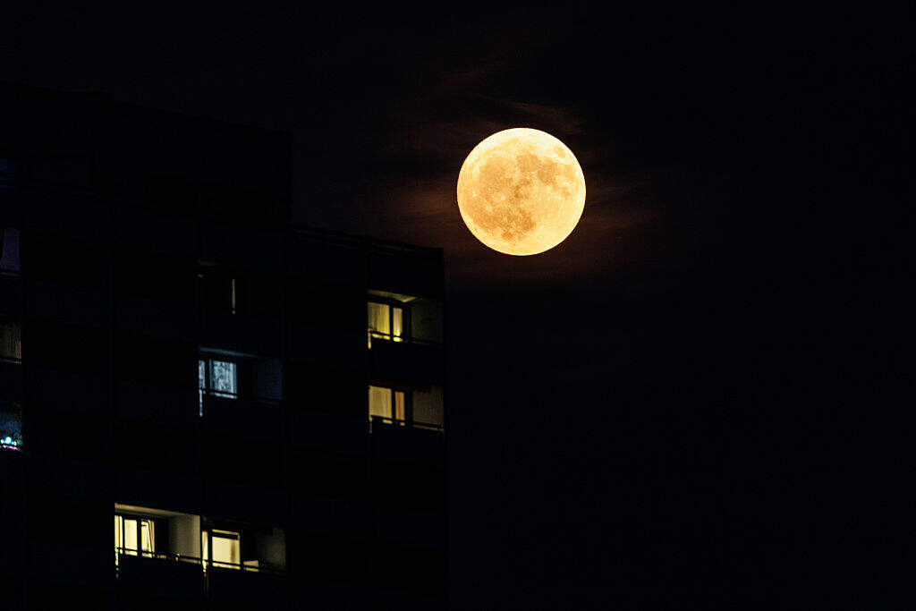 Photo: Matthias Balk/dpa (Photo by Matthias Balk/picture alliance via Getty Images)