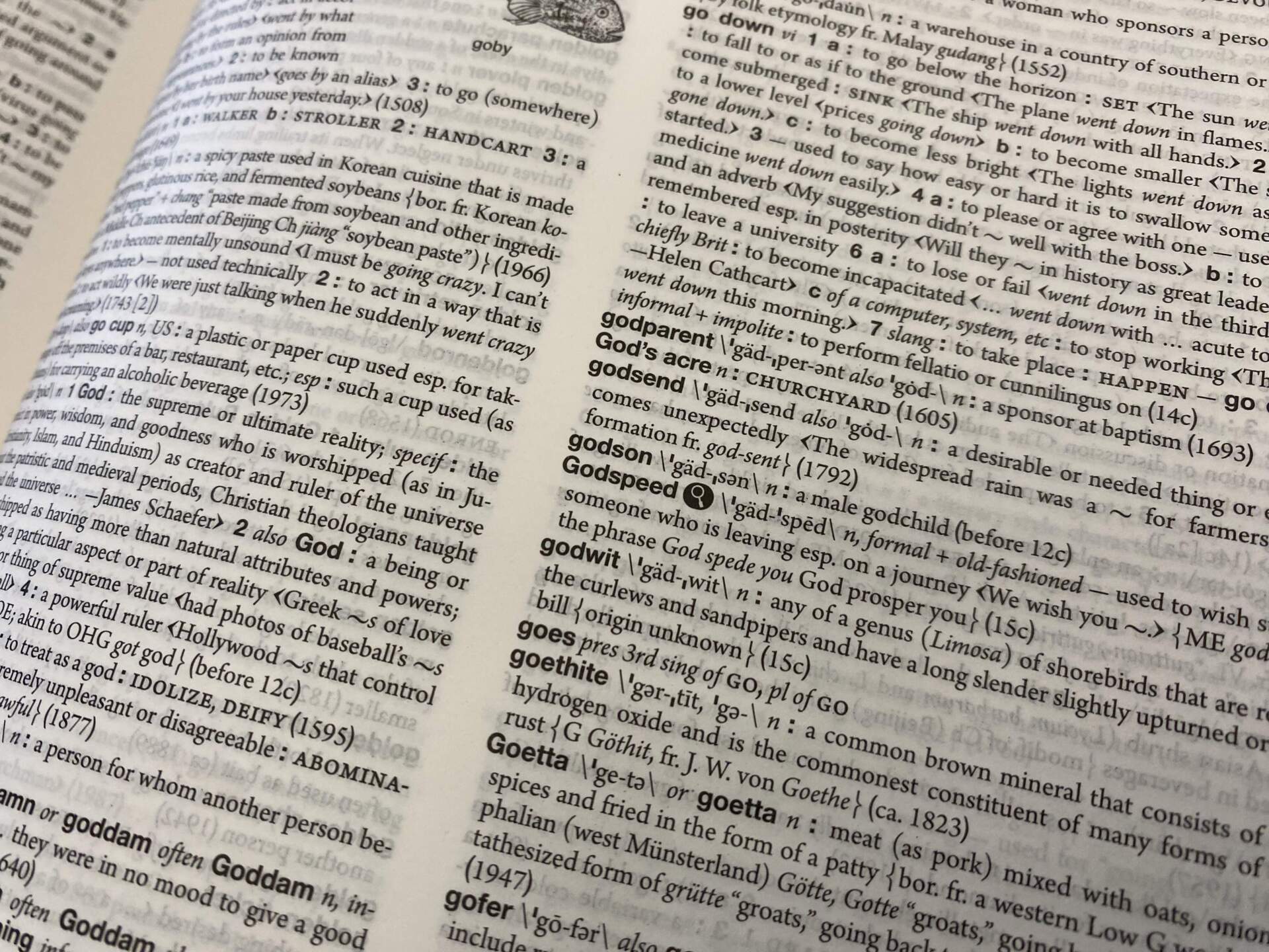 Merriam-Webster goes old school with first new hardcover Collegiate  dictionary in 22 years | WBUR News, image size:1920x1440