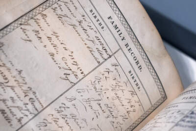 The Jackpod: The revolutionary mind