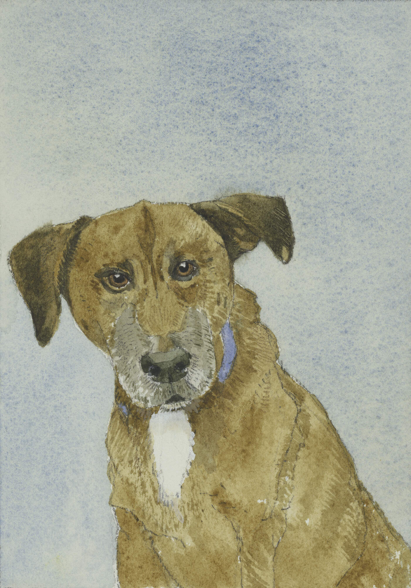 Courtesy of Pamela Sztybel.