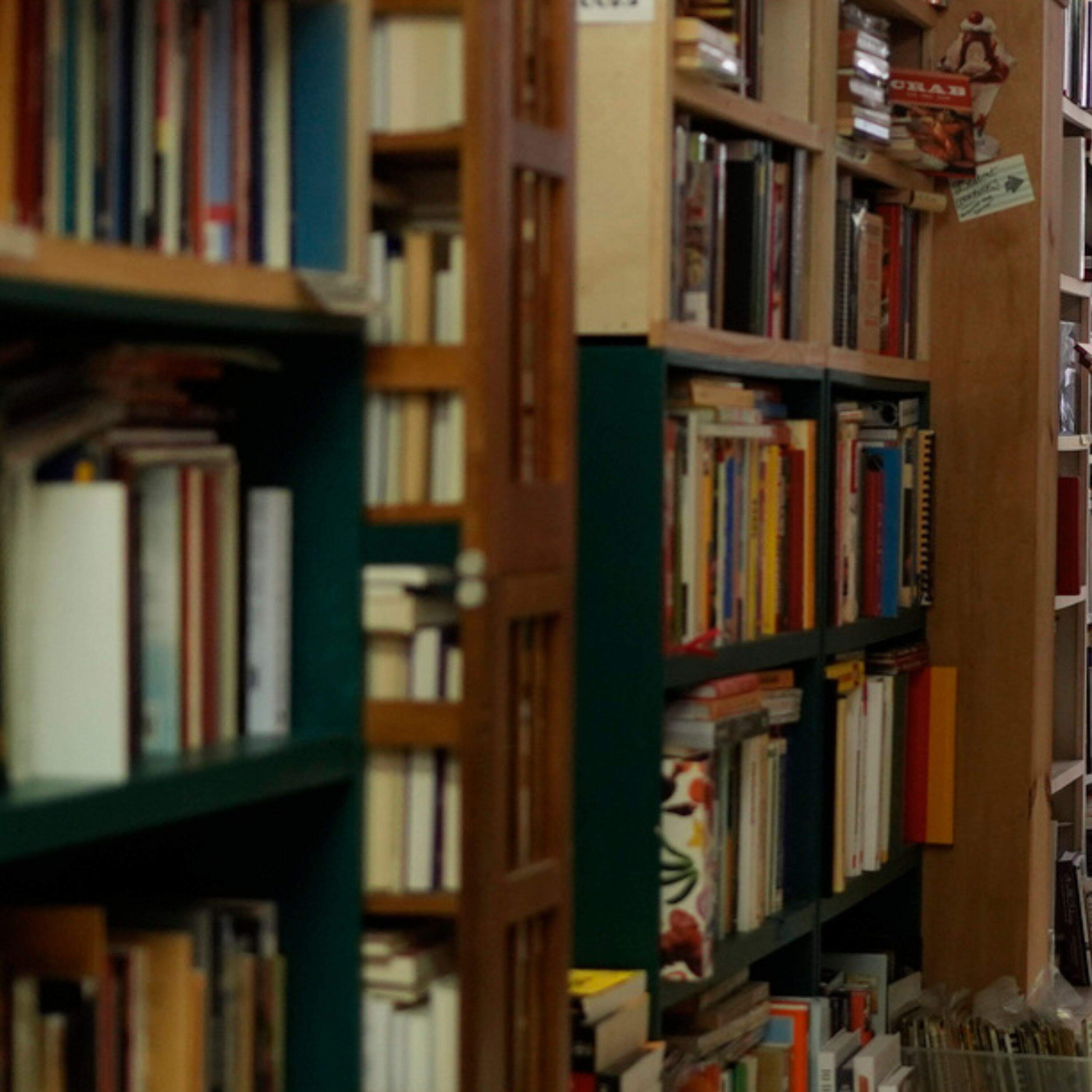  Can democracy survive without reading? 