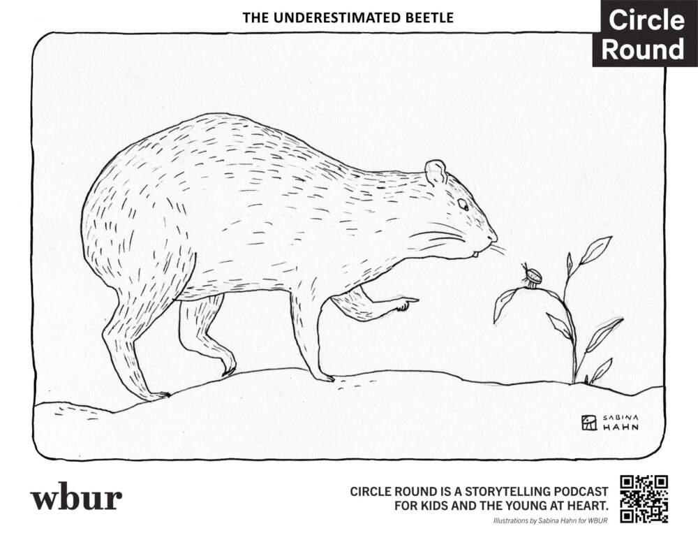 An agouti rodent and beetle. (Sabina Hahn for WBUR)