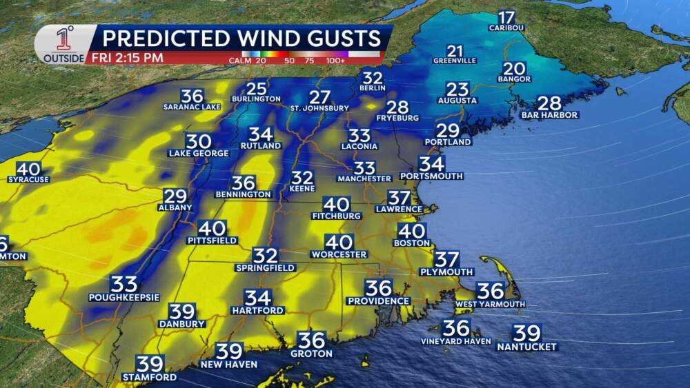 Predicted wind gusts for Friday, Nov. 28. (Danielle Noyes/1DegreeOutside)