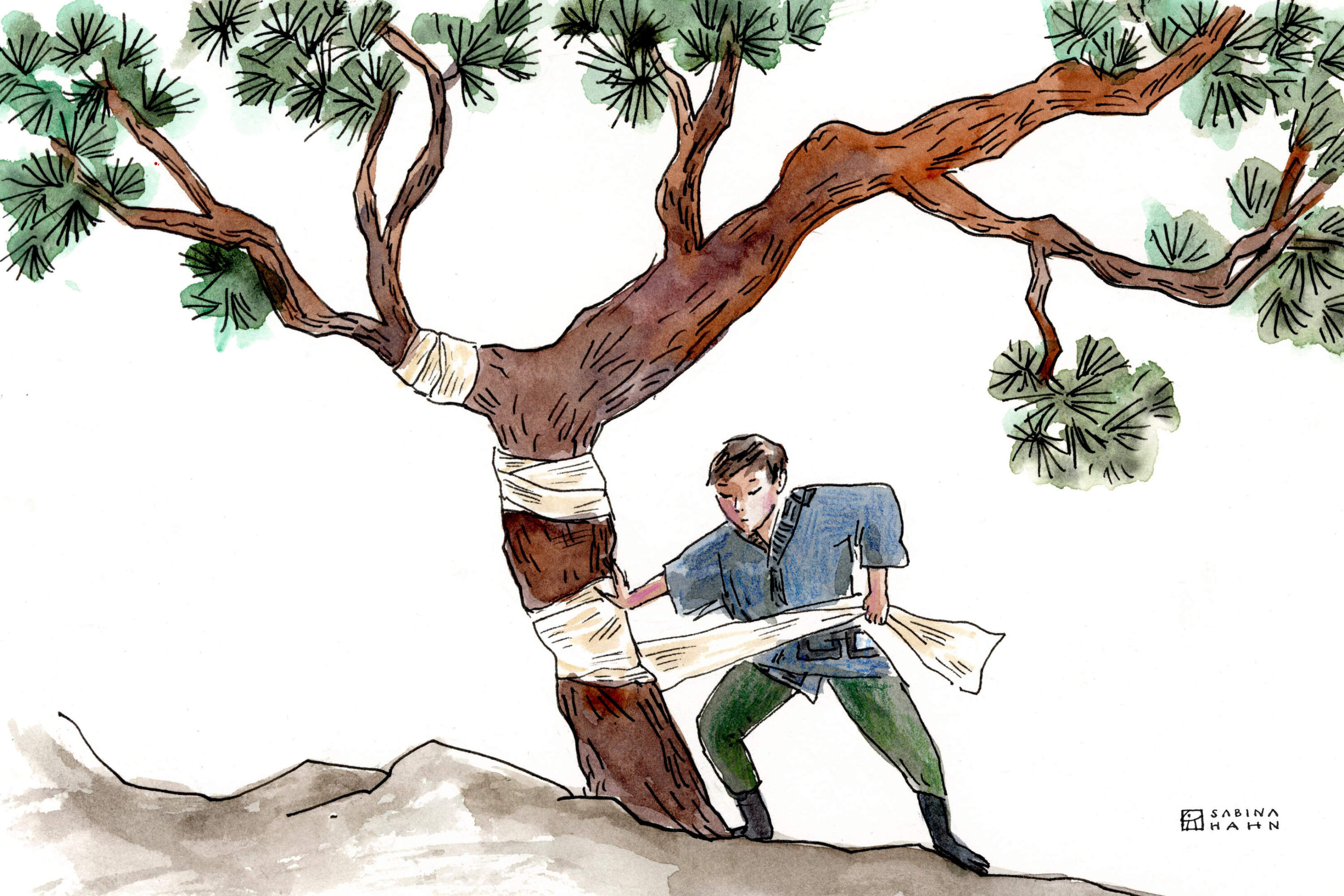 A boy and a tree. (Sabina Hahn for WBUR)