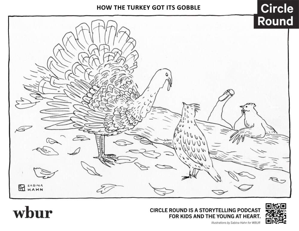 A turkey and other birds. (Sabina Hahn for WBUR)