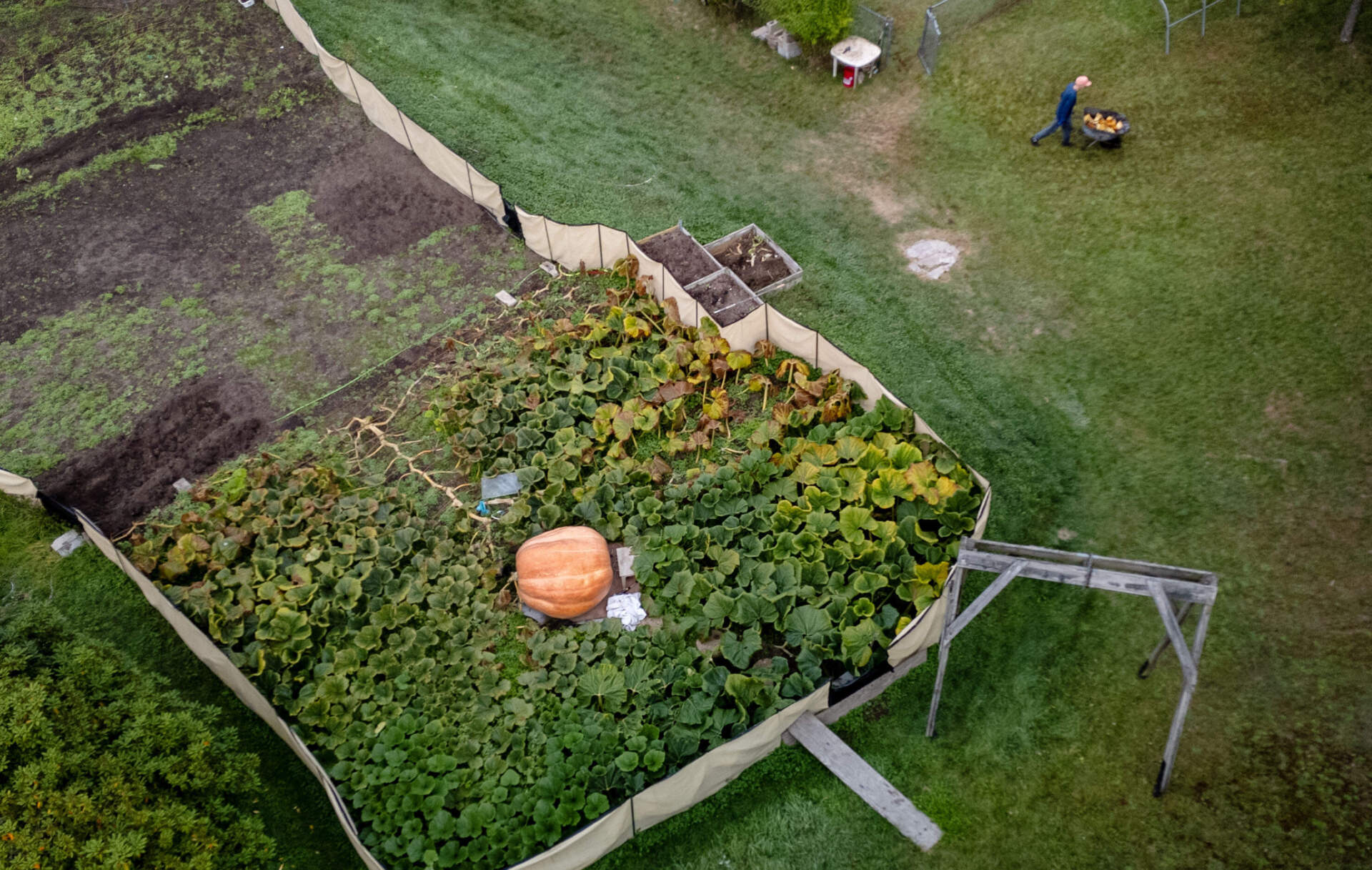 (Robin Lubbock/WBUR)