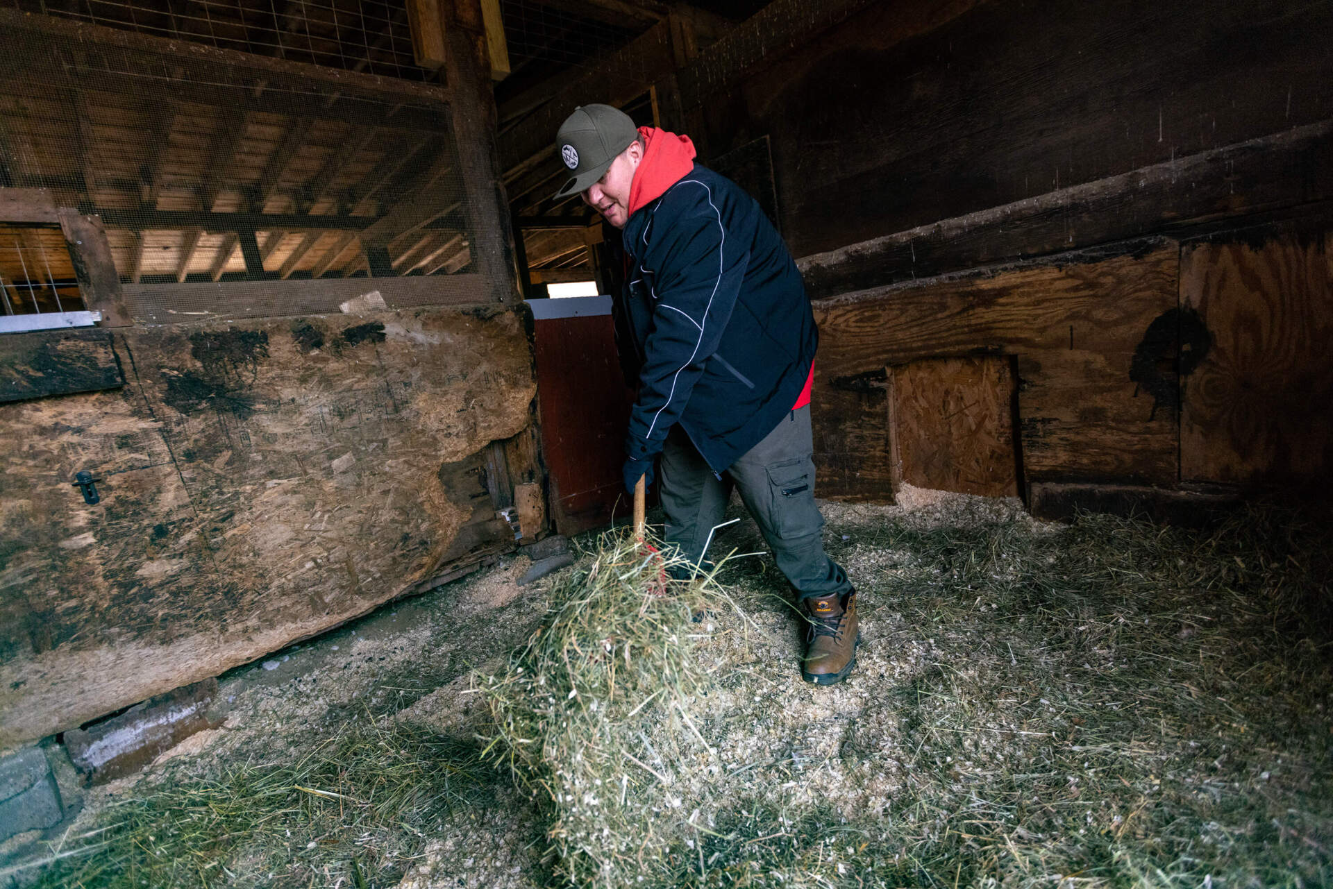 Resident Walter Cobb cleans a stall at the Carl E. Dahl House farm. (Jesse Costa/WBUR)