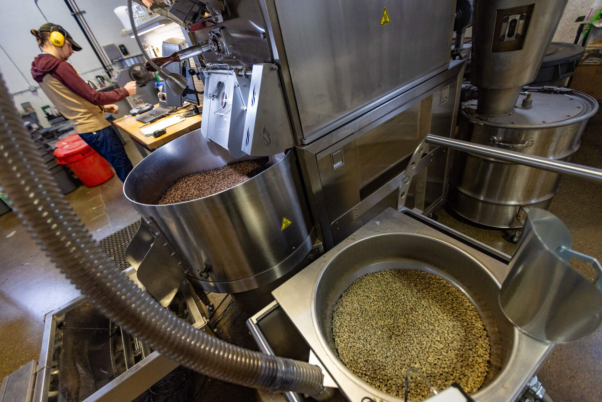Green Mexican coffee beans being vacuumed into a roaster, front, while freshly roasted beans swirl around in the coffee bean cooler at Broadsheet Coffee Roasters in Somerville. (Jesse Costa/WBUR)