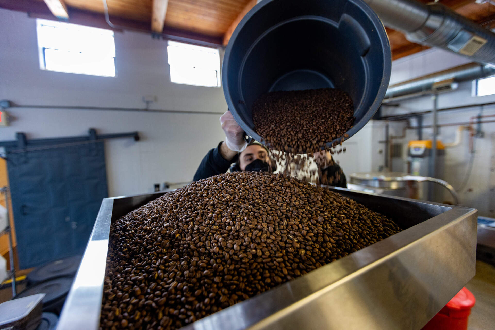 Ev Fox pours freshly roasted coffee beans to be packaged up into bags at Broadsheet Coffee Roasters in Somerville. (Jesse Costa/WBUR)