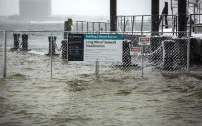 New study finds sea level rise is speeding up, contradicting federal report