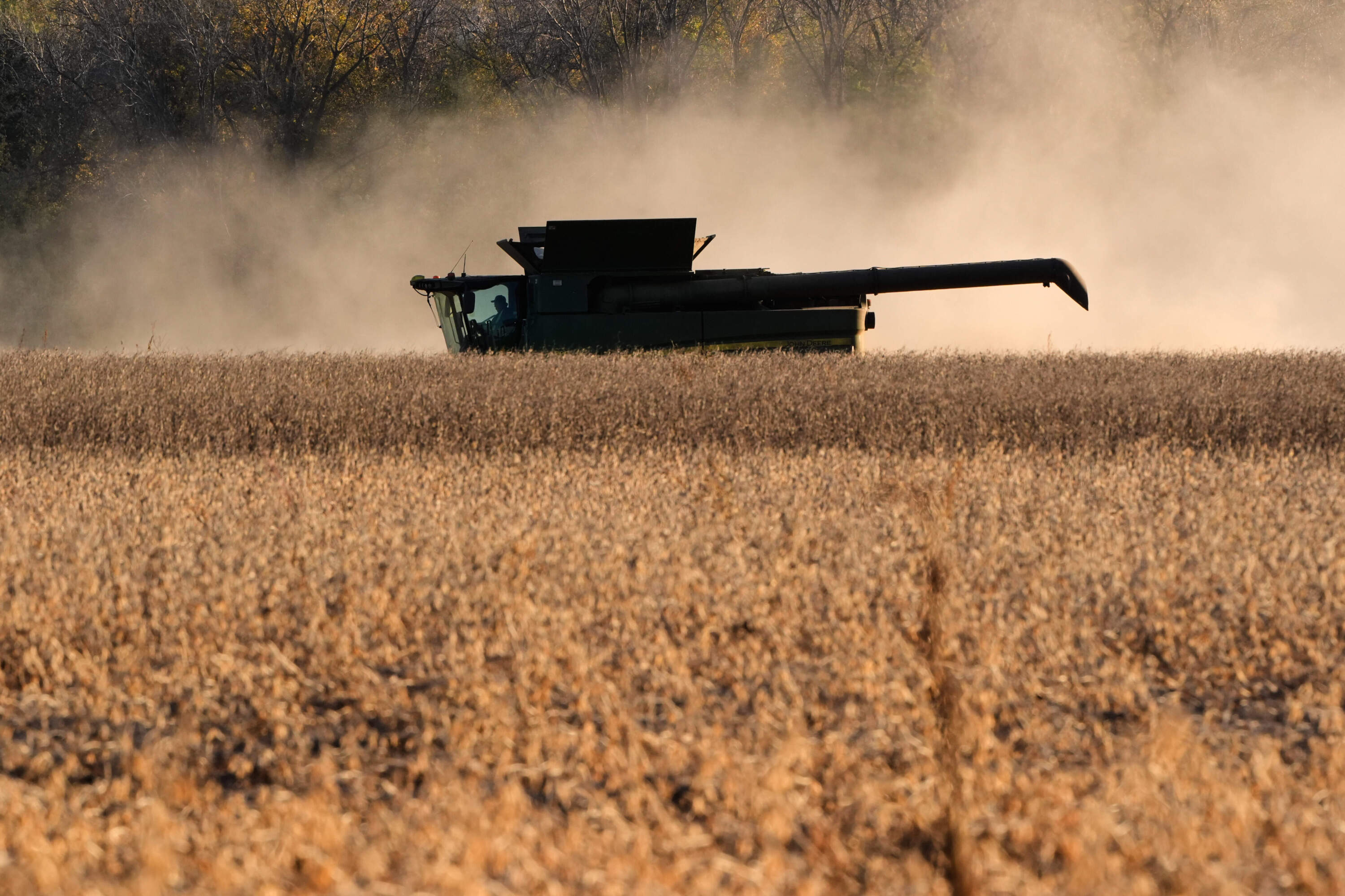 Heath Rohlfing harvests soybeans on his family's farm Wednesday, Nov. 5, 2025, near Boonville, Missouri. (Charlie Riedel/AP)