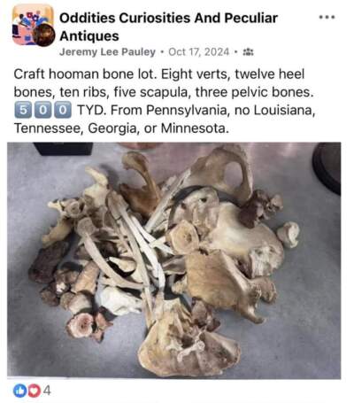 Screenshot of an online listing for human remains, posted more than two years after Jeremy Pauley was first arrested for his involvement in the human remains trade. (Source Middle District of Pennsylvania U.S. Attorney's Office)