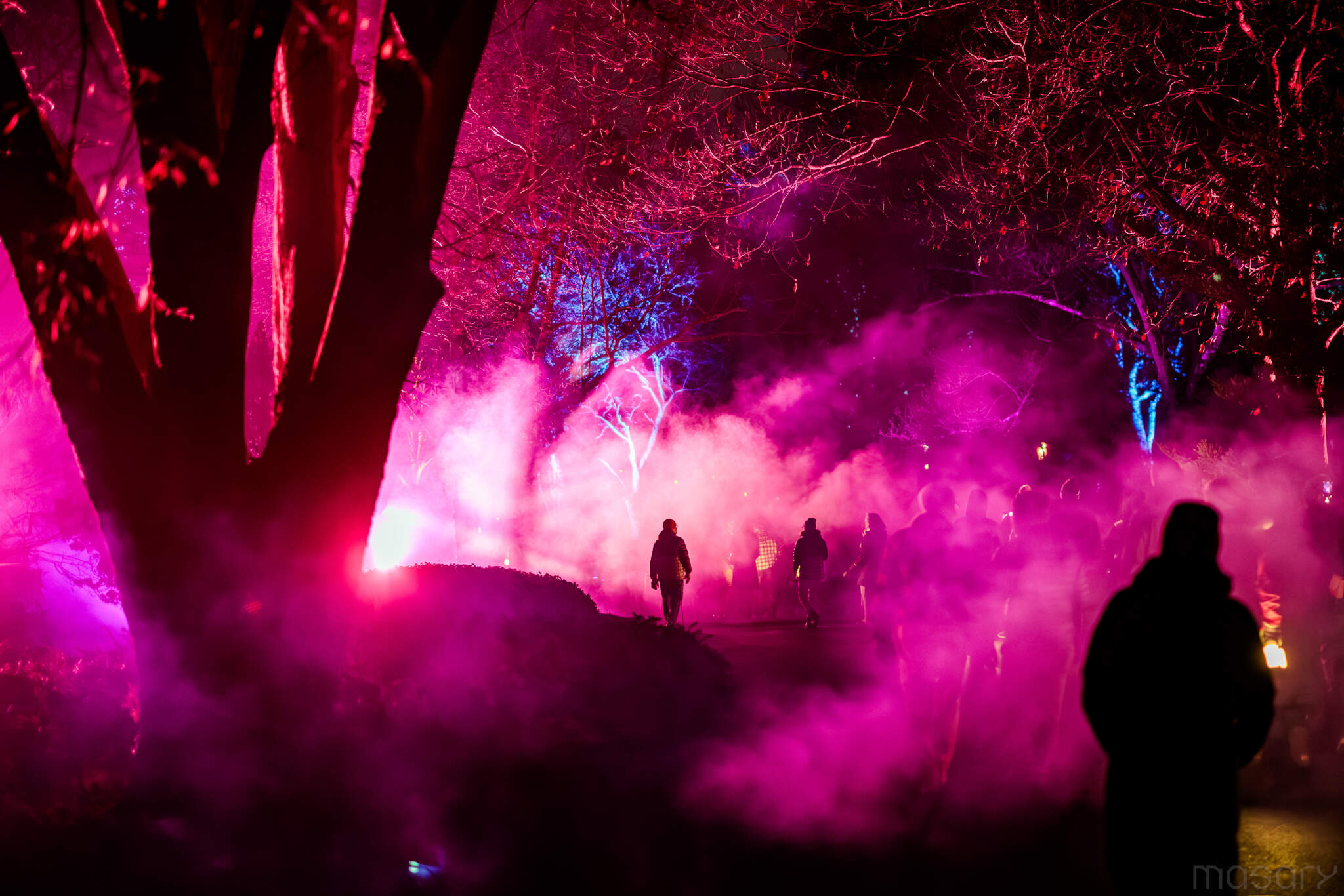 Mount Auburn Cemetery brightens the darkest days of the year with its annual “Solstice” experience. (Aram Boghosian/Courtesy Mount Auburn Cemetery and MASARY Studios)