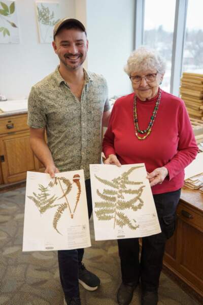 Herbarium director Weston Testo and Hilda White holding specimens of the fern named after White. (Joey Palumbo/Vermont Public)