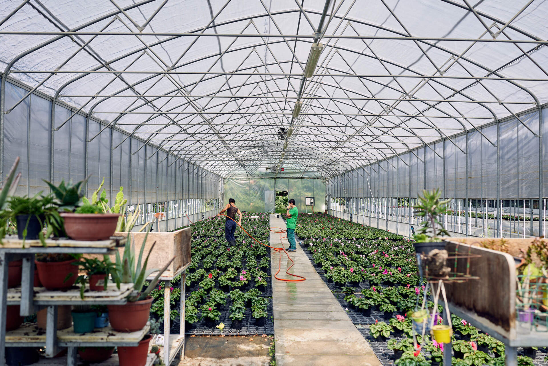 Two women water flowers and medicinal herbs at San Patrignano. (Wilson Santinelli for WBUR)