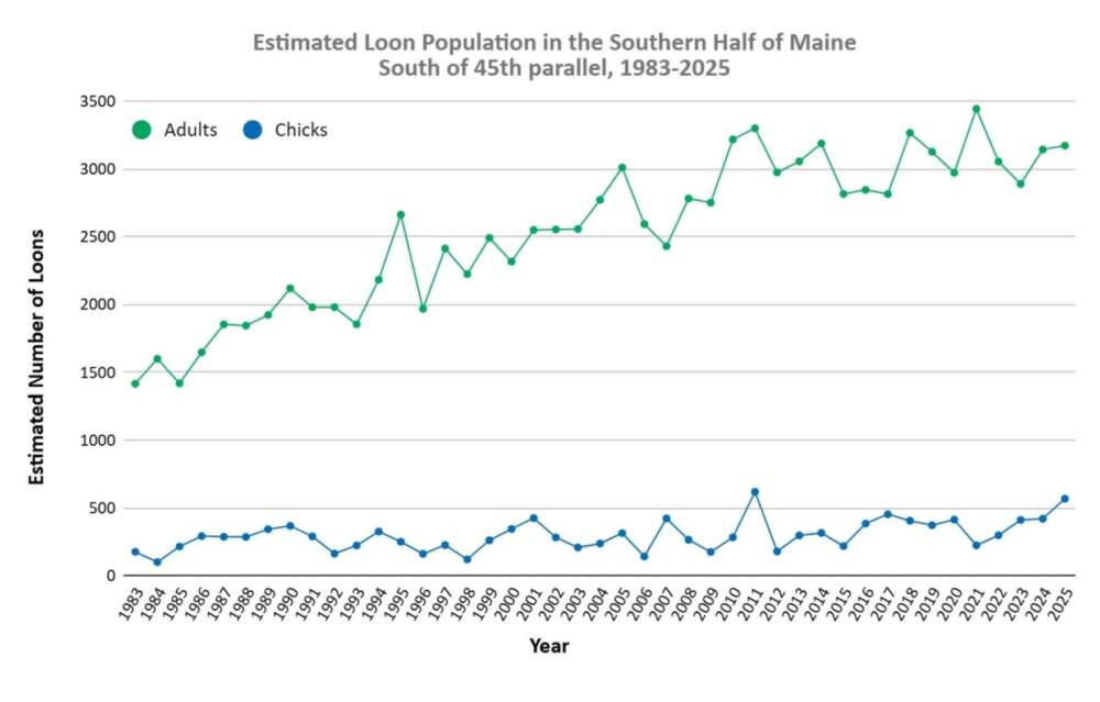 A graph charting loon population estimates in Maine. (Courtesy of Maine Audubon via Maine Public)