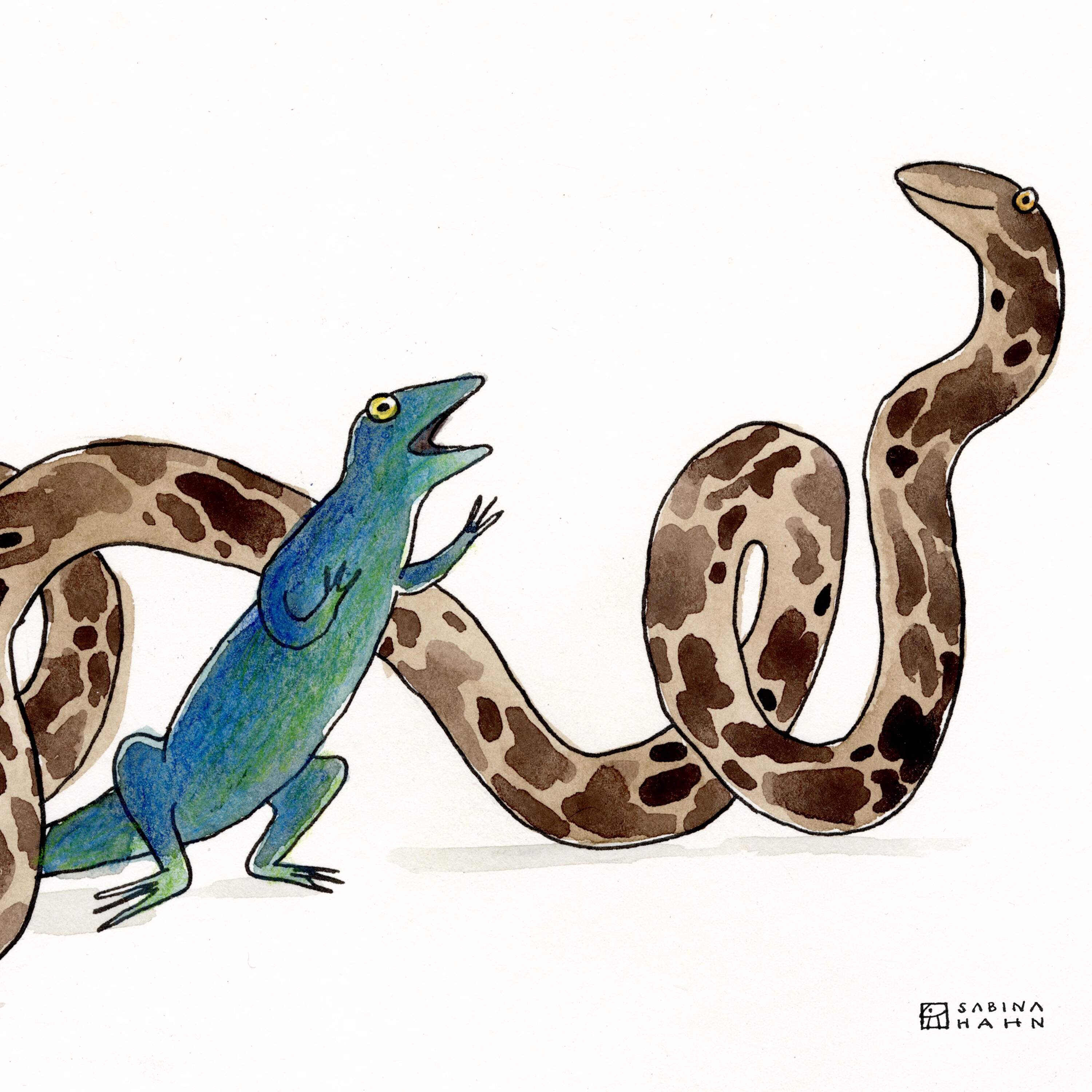 Python’s Drum | Ep. 309