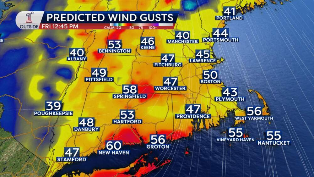 Predicted wind gusts midday on Friday. (Danielle Noyes/1DegreeOutside)