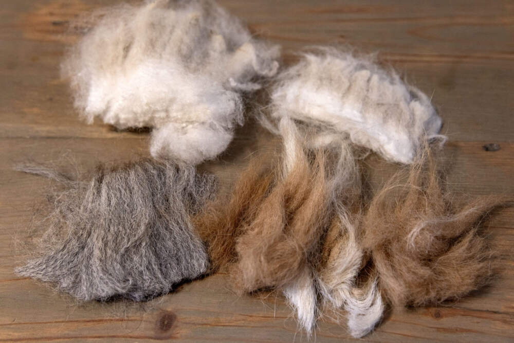 Alpaca wool fibers and colors at Plain View Farm. 