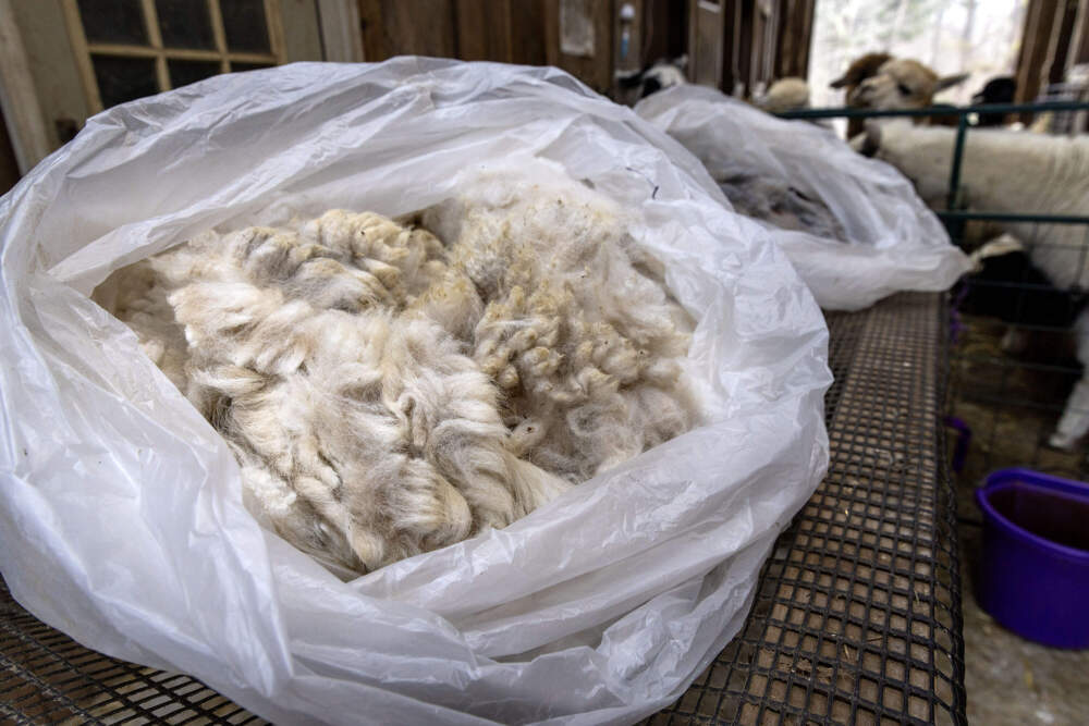 Bundles of alpaca wool in Tetreault's barn. (Robin Lubbock/WBUR)