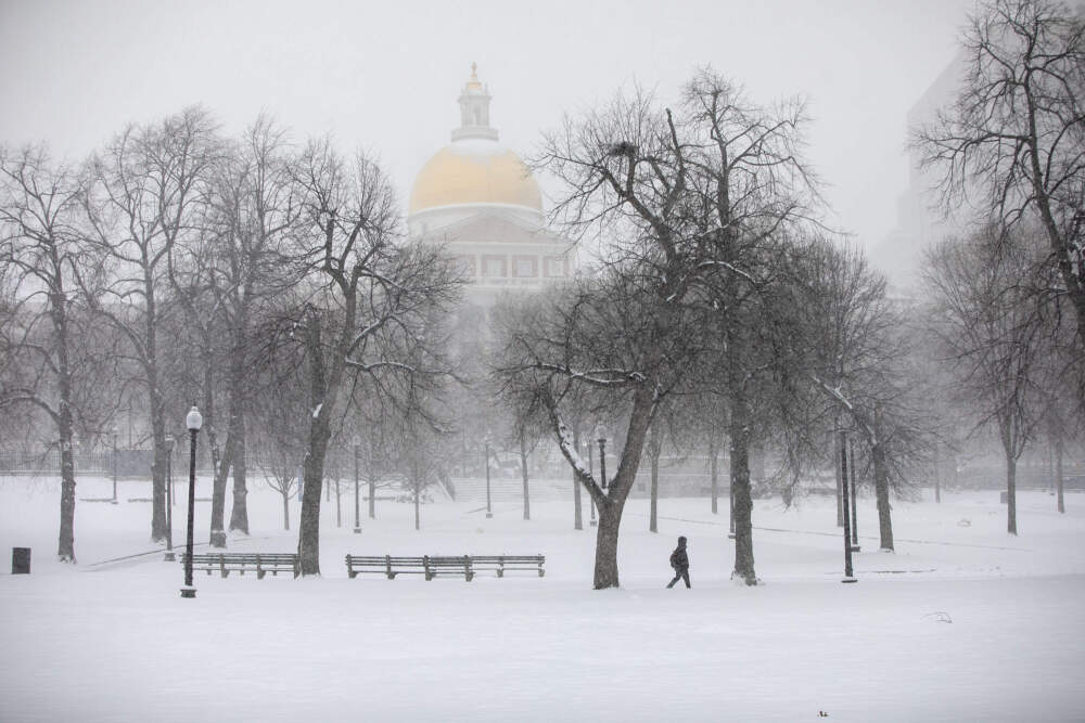 A man walks across Boston Common Sunday during the first major snowstorm of 2026. (Robin Lubbock/WBUR)