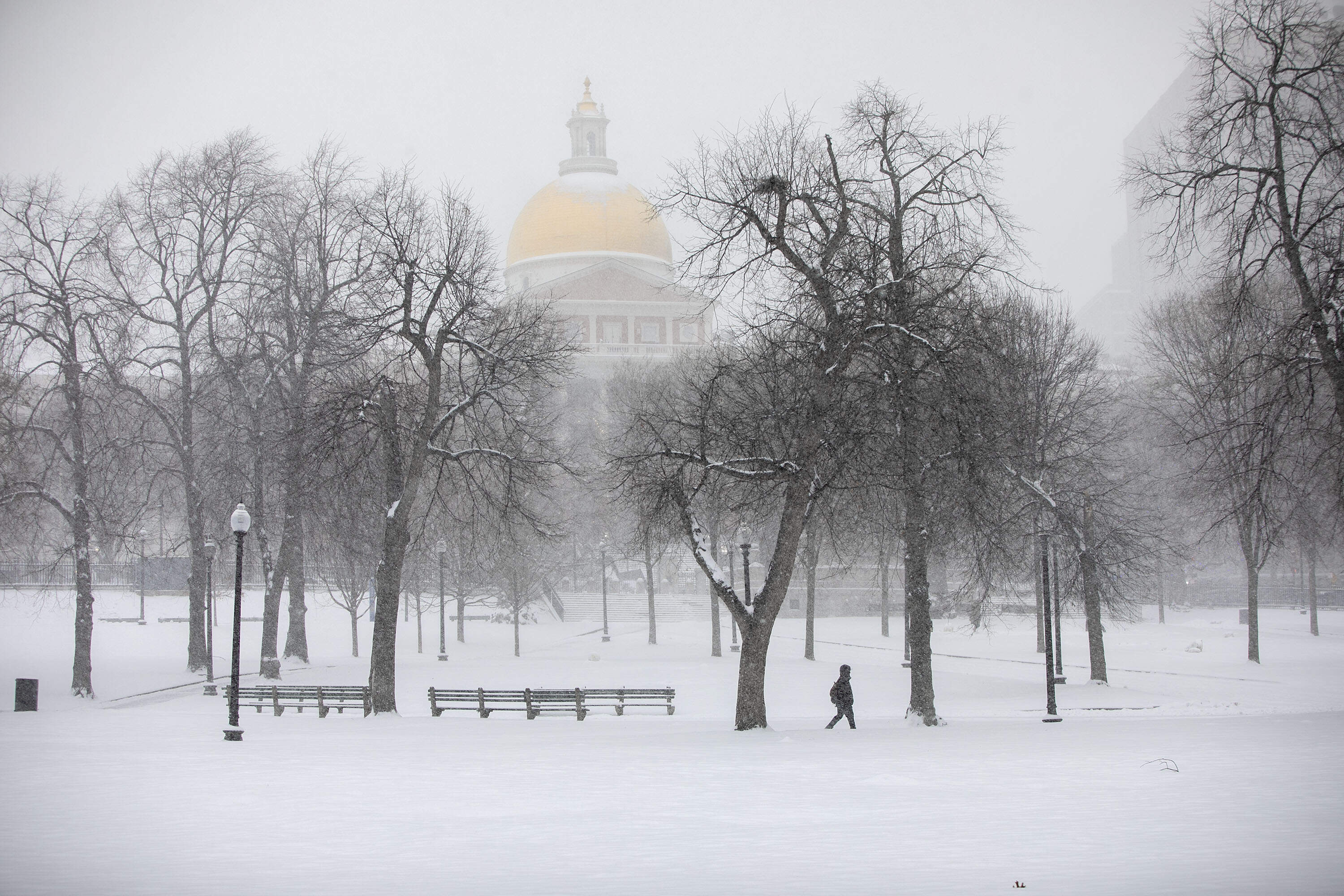 A man walks across Boston Common Sunday during the first major snowstorm of 2026. (Robin Lubbock/WBUR)