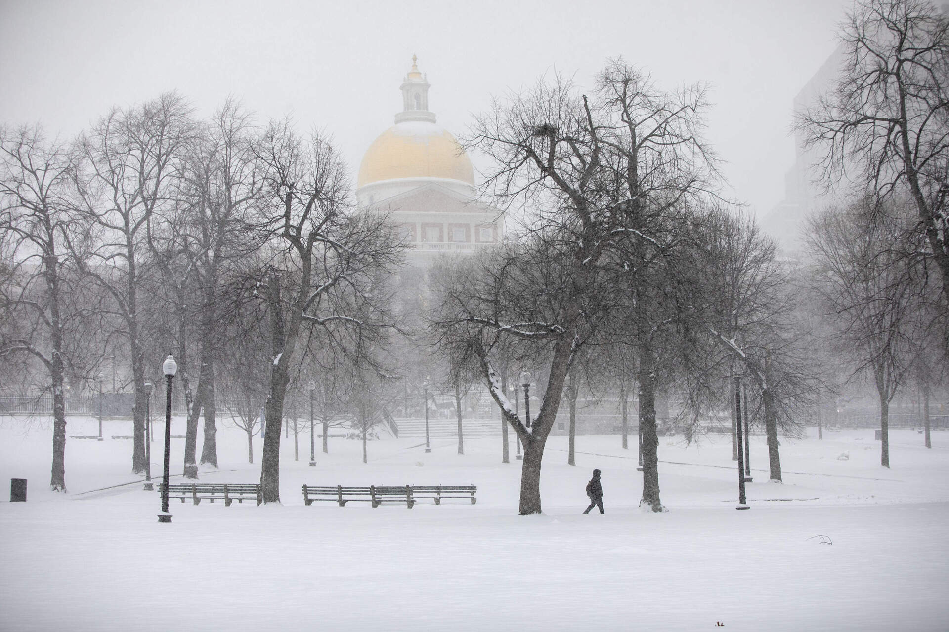 A person walks across Boston Common during the first major snowstorm of 2026. (Robin Lubbock/WBUR)