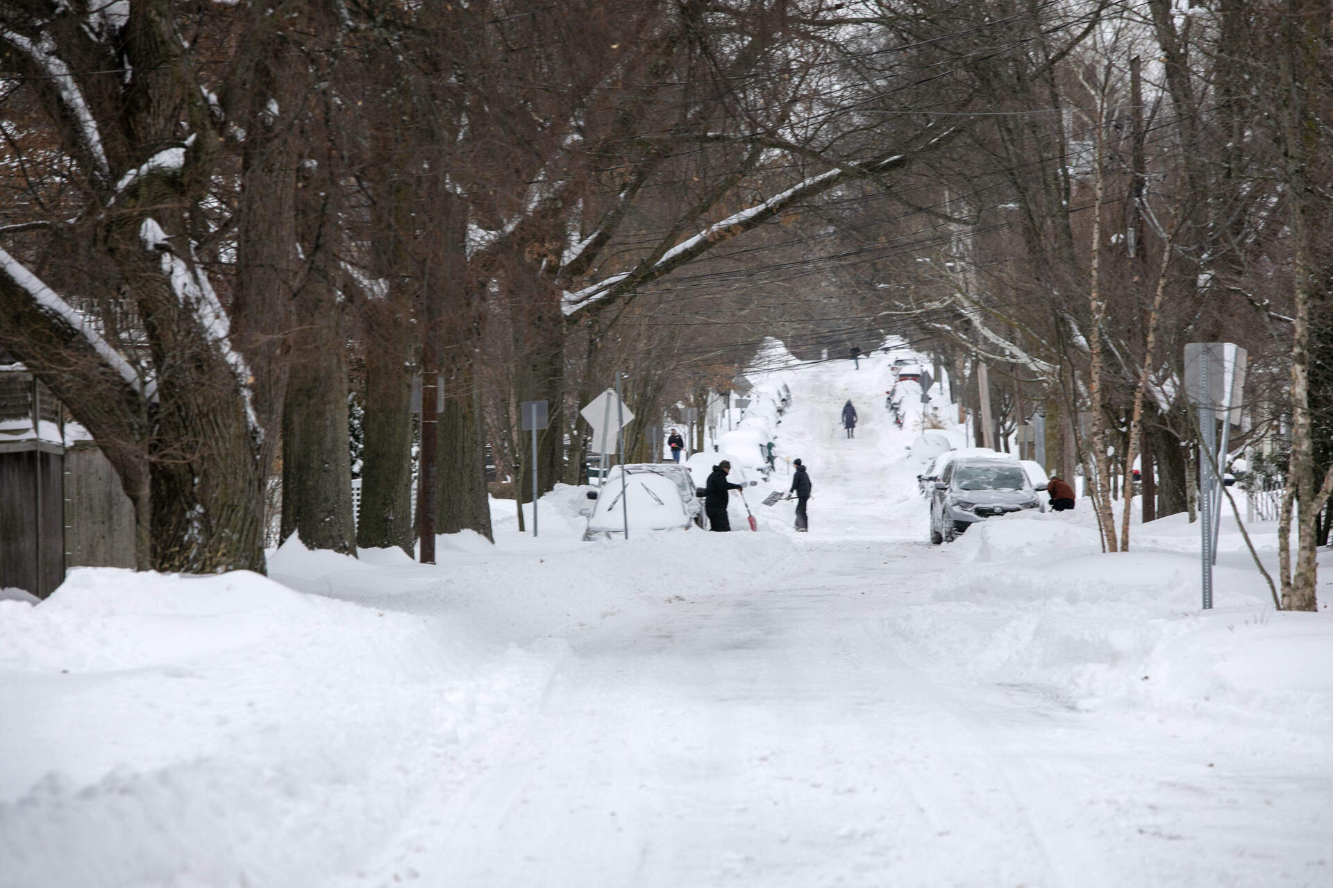 People dig out their vehicles in Cambridge after the area's first major snowstorm of 2026. (Robin Lubbock/WBUR)