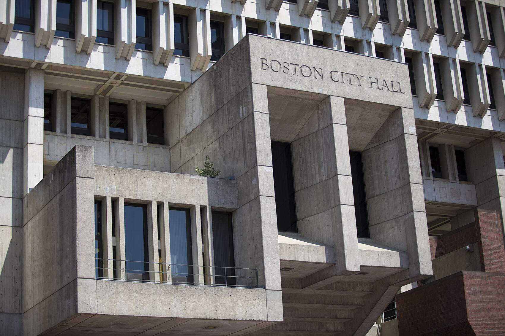 Boston City Hall. (Jesse Costa/WBUR)
