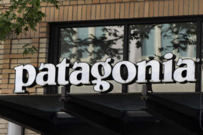 Patagonia CEO advises businesses on how to adapt to this political moment