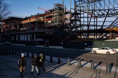 The Jackpod: Gimme shelter!