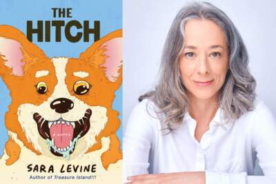 'The Hitch' novel tells a tale of corgi possession