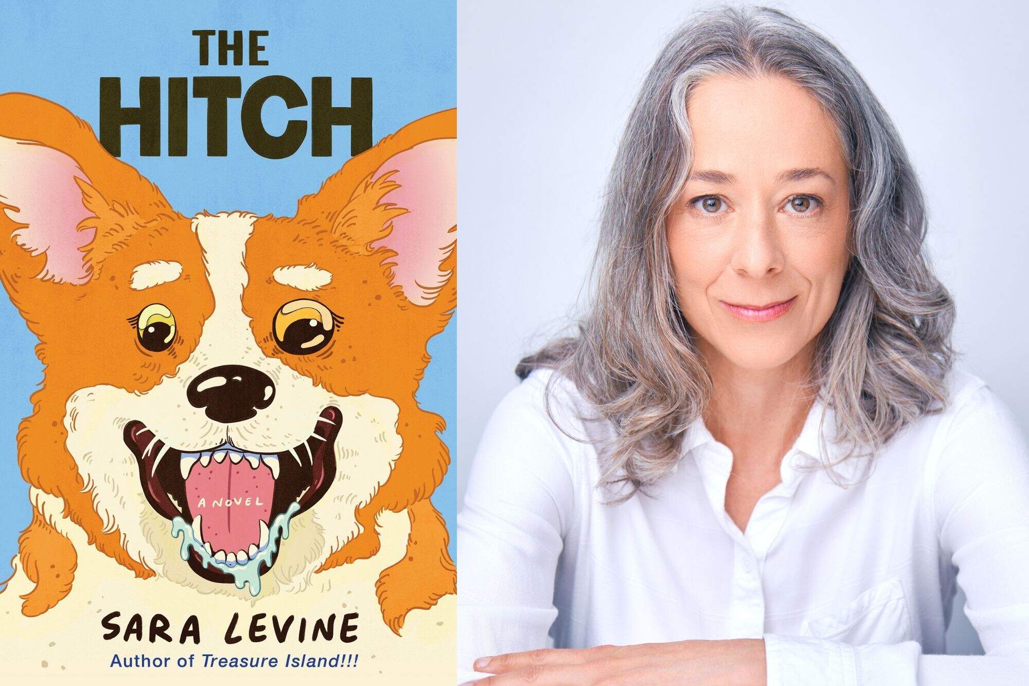 The cover of "The Hitch" and author Sara Levine. (Courtesy of Roxane Gay Books, an imprint of Grove Atlantic and Jeffrey L. Kurysz)