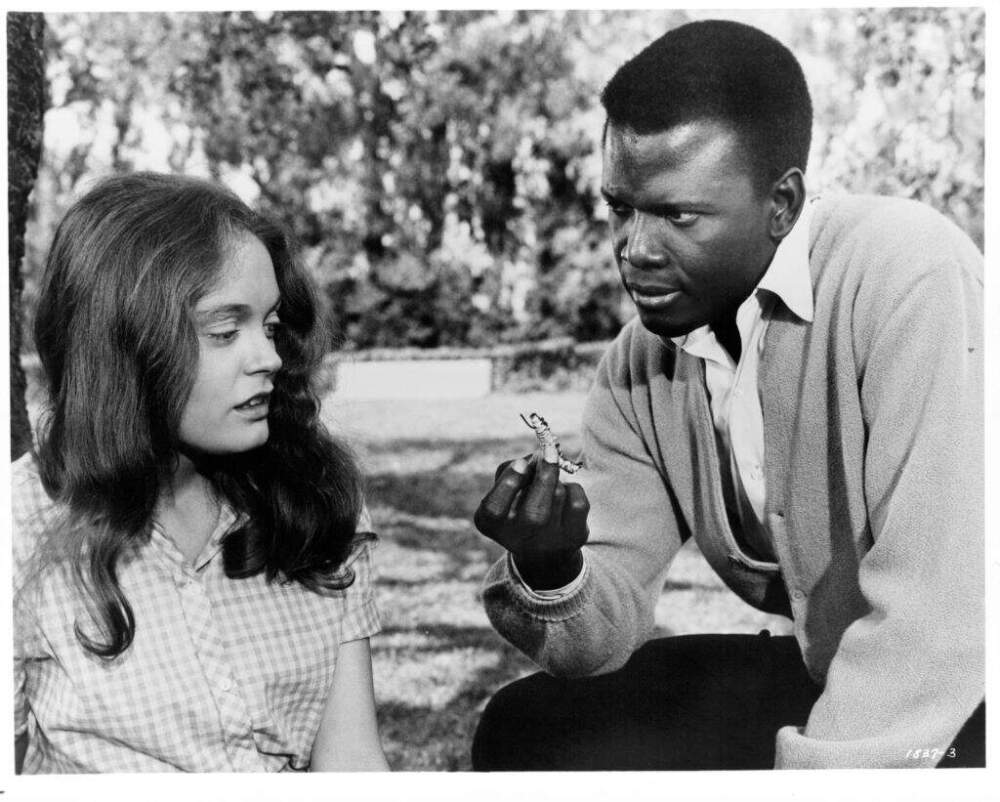 Elizabeth Hartman, playing a blind character, and Sidney Poitier in a scene from the film 'A Patch Of Blue', 1965. (Metro-Goldwyn-Mayer/Getty Images)