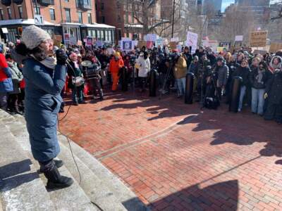 Anti-ICE protesters gather on Boston Common