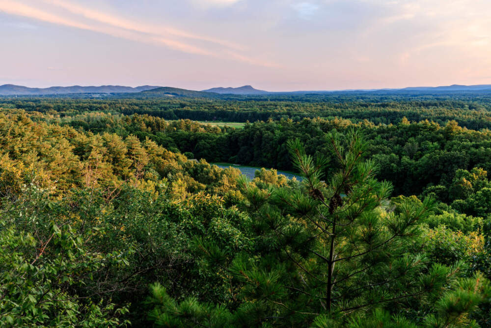 Jerry Monkman/EcoPhotography