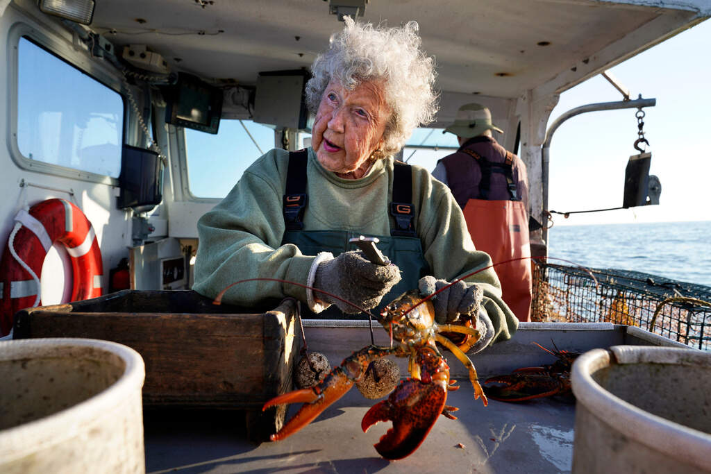 Virginia Oliver measures lobsters on the boat of her son, Max Oliver, Aug. 31, 2021, off Rockland, Maine. (Robert F. Bukaty/AP)