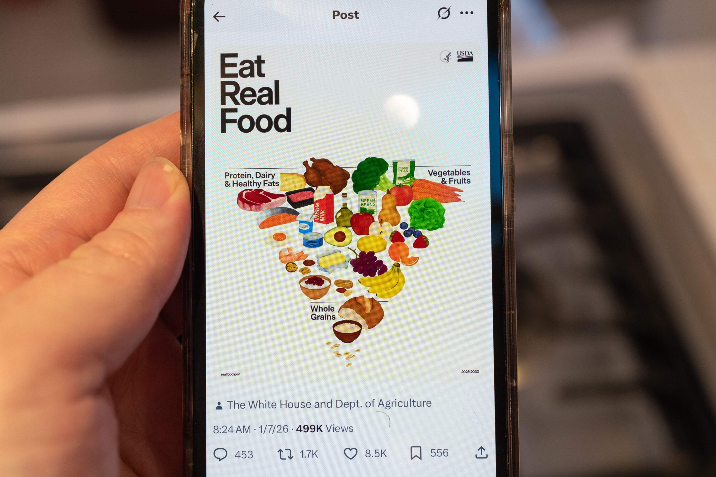 Illustrative image, close-up of a person's hand holding an iPhone displaying a social media post from the U.S. Department of Health and Human Services showing the revised Food Pyramid. (Smith Collection/Gado/Getty Images)