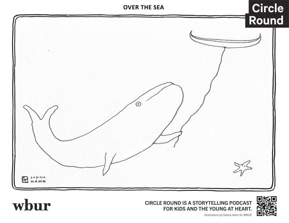A whale and starfish. (Sabina Hahn for WBUR)
